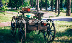 Коттедж в сосновом бору с выходом к Енисею цена 29000000.00 Фото 3.