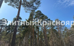 Участок с соснами и городским отоплением цена 47000000.00 Фото 6.